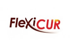 ORTIS FLEXICUR